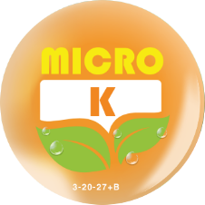 Micro-K