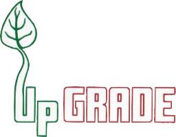 Upgrade