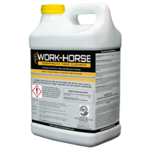Work-Horse